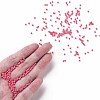11/0 FGB Grade A Baking Paint Glass Seed Beads X-SEED-N001-A-1045-4