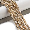 Natural Freshwater Shell Beads Strands BSHE-G038-05-2