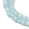 Natural Freshwater Shell Dyed Beads Strands SHEL-R100-11A-03-3