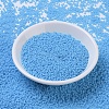 MIYUKI Round Rocailles Beads X-SEED-G007-RR0413-2