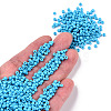 Baking Paint Glass Seed Beads SEED-S001-K10-4