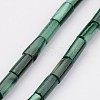 Natural Shell Bead Strands BSHE-P016-13-1