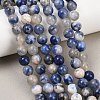 Natural Sodalite Beads Strands G-S279-10-8mm-8