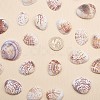 1 Box Scallop Seashells Clam Shell Dyed Beads with Holes for Craft Making 40-50pcs BSHE-YW0001-01-7