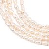 Natural Cultured Freshwater Pearl Beads Strands PEAR-D003-01D-04-4