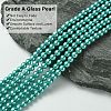 Grade A Glass Pearl Beads HY-J001-4mm-HX052-3