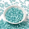 Glass Seed Beads SEED-H002-D-A812-2