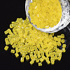 8/0 Two Cut Glass Seed Beads SEED-S033-11A-02-1