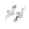 Alloy Pendants PALLOY-S049-01F-P-2