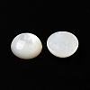 Natural White Shell Cabochons SSHEL-M022-01C-2