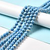 Synthetic Turquoise and Sea Shell Assembled Beads Strands G-D482-01B-04-1