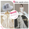 Polyester Hard Horsehair Braid Boning OCOR-WH0082-242C-6