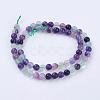 Natural Fluorite Beads Strands G-P318-05-6mm-4