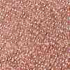 TOHO 11/0 Round Beads X-SEED-TR11-0631-2
