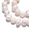 Natural Cultured Freshwater Pearl Beads Strands X-PEAR-N013-04E-3