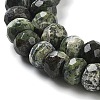 Natural Silver Line Jasper Beads Strands G-Z042-B01-04-4