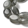 Natural Labradorite Beads Strands G-P528-M10-01-4