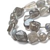 Natural Labradorite Beads Strands G-G018-24-2