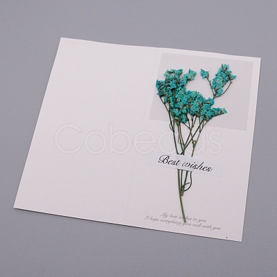 Paper Cards DIY-WH0183-41J-1