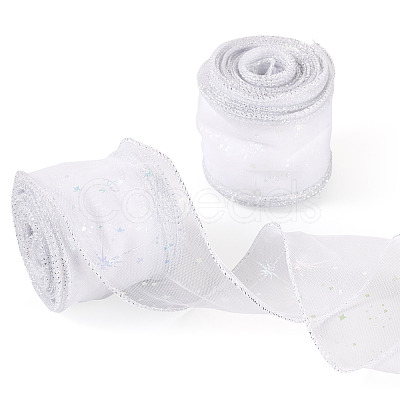 Polyester Deco Mesh Ribbons OCOR-TAC0024-004E-1