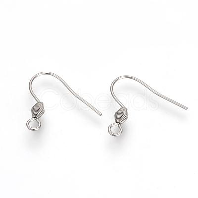 Tarnish Resistant 304 Stainless Steel Earring Hooks STAS-R071-30-1