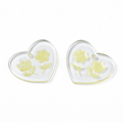 Transparent Resin Pendants RESI-N030-001D-1