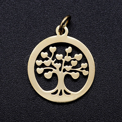 304 Stainless Steel Pendants STAS-T046-JA350-2A-G-1