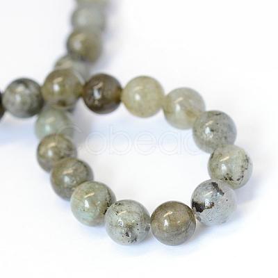 Natural Labradorite Round Bead Strands G-E334-4mm-19-1