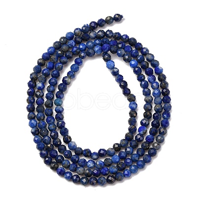 Natural Lapis Lazuli Beads Strands G-E351-09-1