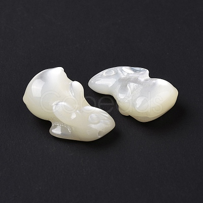 Natural White Shell Beads BSHE-H016-02-1