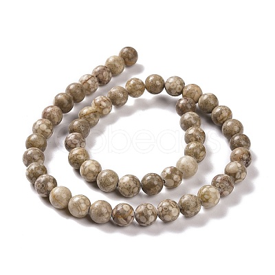 Natural Maifanite/Maifan Stone Beads Strands G-I187-6mm-01-1