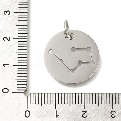 Anti-Tarnish 304 Stainless Steel Pendants STAS-M074-02D-P-1