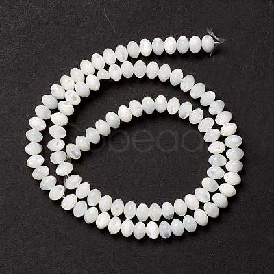 Natural Trochid Shell/Trochus Shell Beads Strands SSHEL-O001-24A-02-1