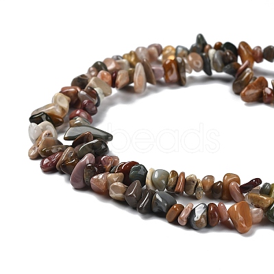 Natural Alashan Agate Beads Strands G-P497-03A-05-1