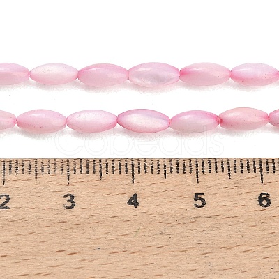 Natural Freshwater Shell Beads Strands X-SHEL-C010-01E-1