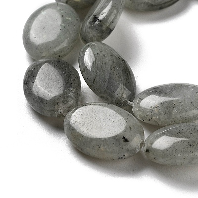 Natural Labradorite Beads Strands G-P528-M10-01-1