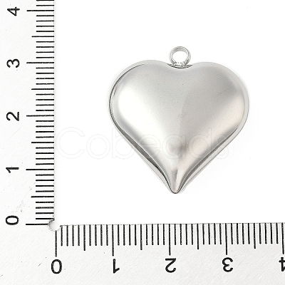 304 Stainless Steel Pendants STAS-S186-06B-P-1