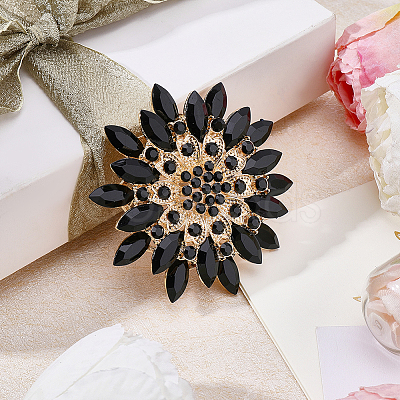 1Pc Alloy Acrylic Lapel Pins for Clothes JEWB-CP0001-55A-1