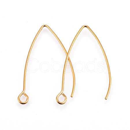 304 Stainless Steel Earring Hooks STAS-F191-02G-B-1