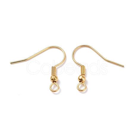 304 Stainless Steel Earring Hooks STAS-T031-17G-1