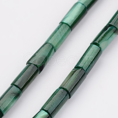Natural Shell Bead Strands BSHE-P016-13-1