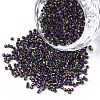 FGB 11/0 Grade A Glass Seed Beads SEED-S030-0004-1