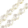 Transparent Glass Beads Strands DGLA-N021-02A-10-1