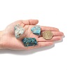 Rough Raw Natural Apatite Beads G-C231-15-4
