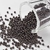 11/0 FGB Grade A Baking Paint Glass Seed Beads X-SEED-N001-A-1050-1