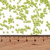 Baking Paint Glass Seed Beads X-SEED-S042-05B-62-4