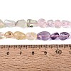 Natural Rose Quartz & Amethyst & Citrine(Heated) & Prehnite Beads Strands G-N371-01A-01-6