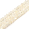 Natural White Shell Beads Strands SHEL-M021-03B-1