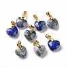 Natural Lapis Lazuli Pendants G-C023-07G-1