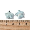 Natural Rainbow Alashan Agate Charms G-G194-02A-3